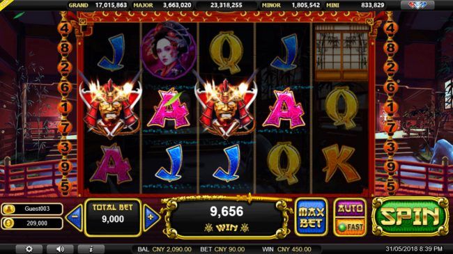 Multiple winning paylines