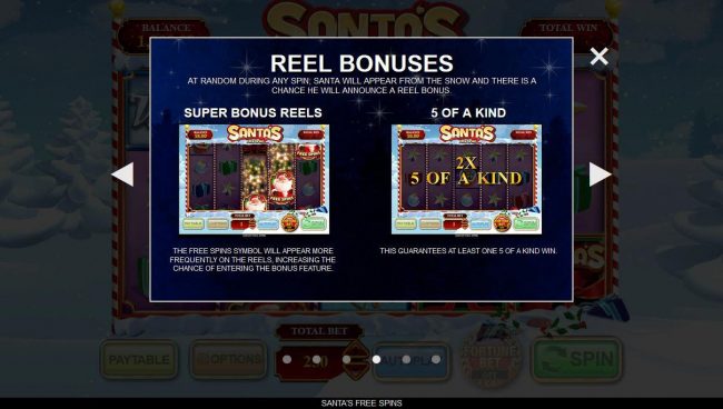 Reel Bonuses Rules