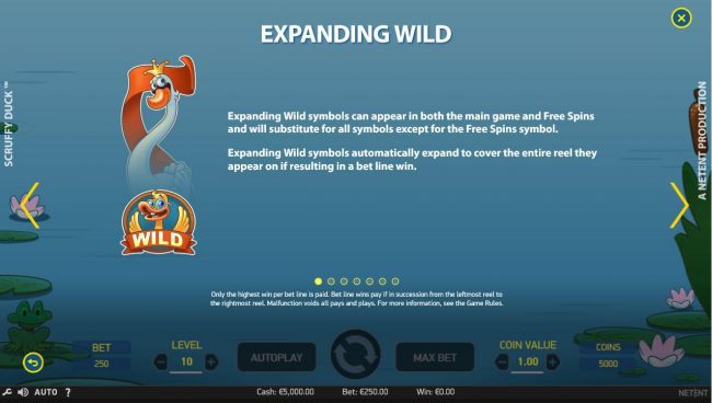 Expanding wild symbols can appear in both the main game and free spins and will substitute for all symbols except for the Free Spins symbol.