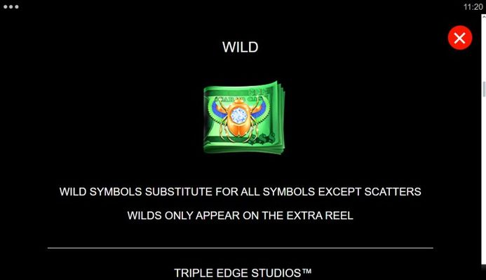 Wild Symbol