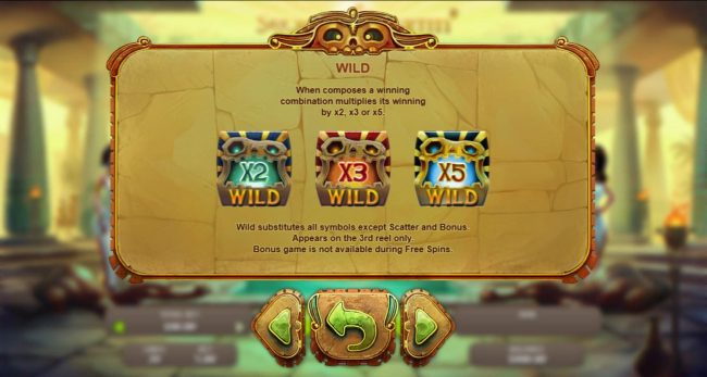 Wild Multiplier Rules