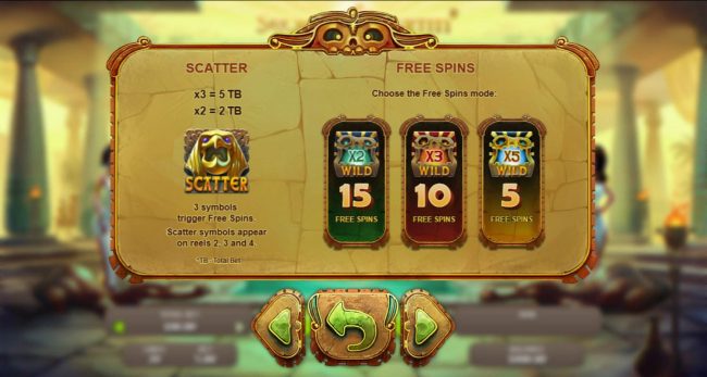 Scatter Symbol Pays and Rules. Free Spins Rules