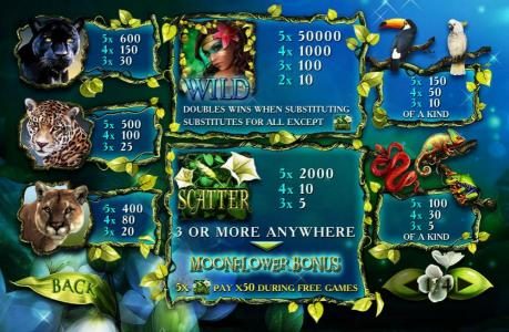 Slot game symbols paytable. The Amazon woman symbol is the highest value symbol on the game board. A five of a kind will pay 50,000 coins.