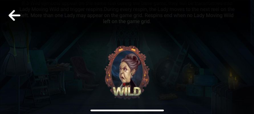 Wild Symbol