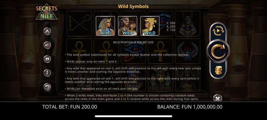 Wild Symbol