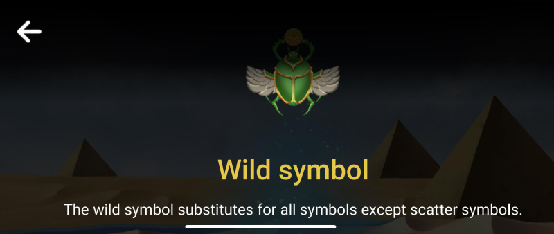 Wild Symbol