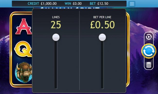 Click on the coins button to adjust the lines and or bet per line played