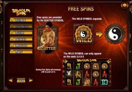 Free Spins Rules