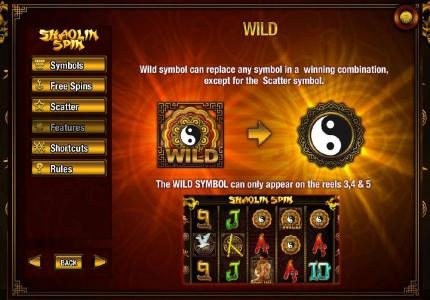 Wild Symbol Rules