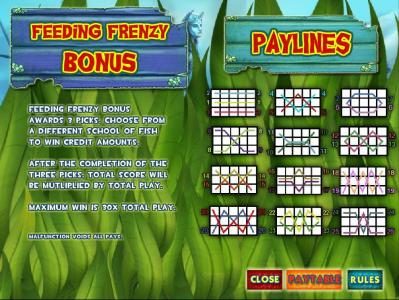 feeding frenzy bonus rules and payline configurations
