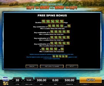 Free Spins Bonus Rules