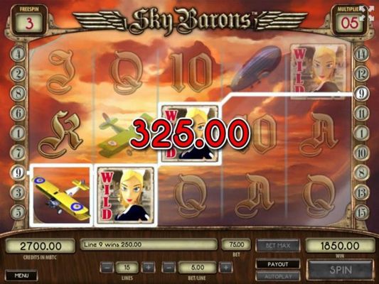A 325.00 big win triggered during the free spins bonus feature.