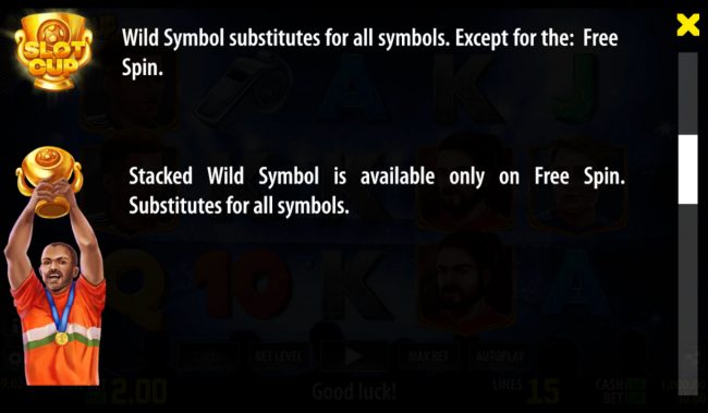 Wild Symbol Rules