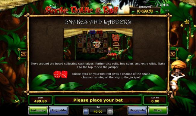 Snakes and Ladders Rules - Continued