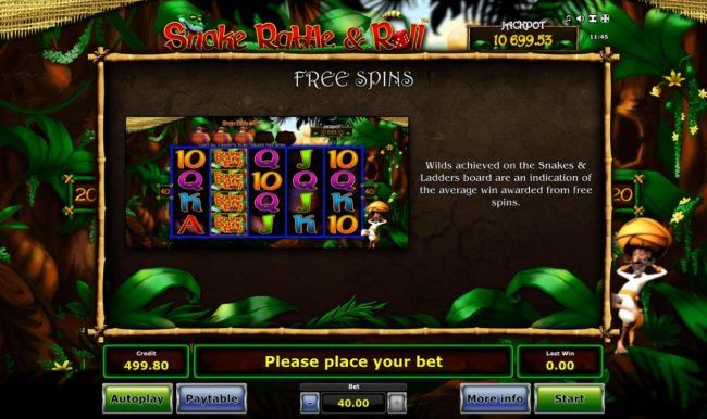 Free Spins Rules - Continued