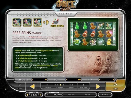 Free Spins Feature Rules