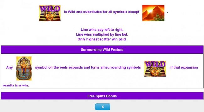 Wild symbol and Surrounding Wild Feature Rules