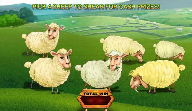 Pick 4 sheep to shear for cash.