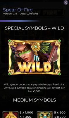 Wild Symbol