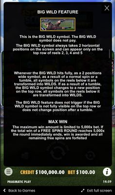 Big Wild