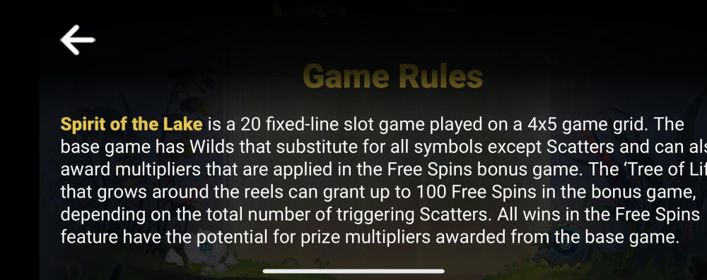 Feature Rules