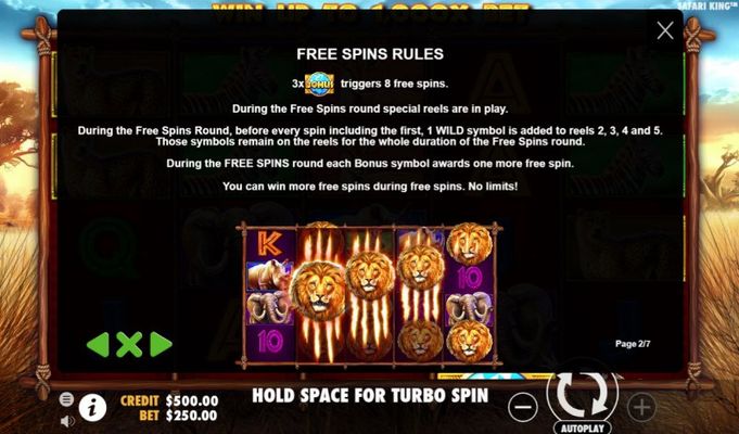 Free Spins Rules