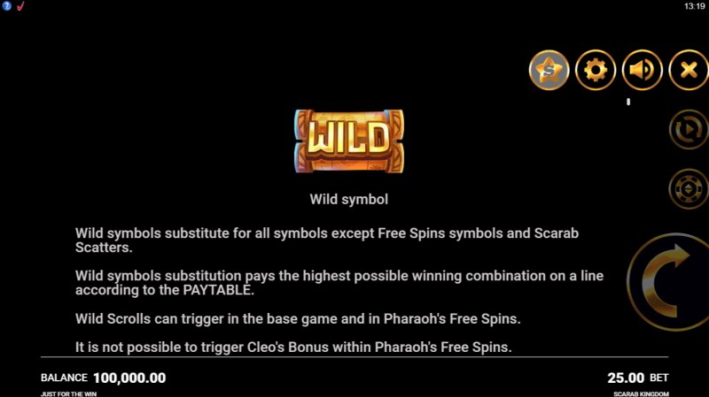 Wild Symbol Rules