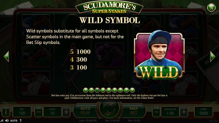 Wild Symbols Rules and Pays