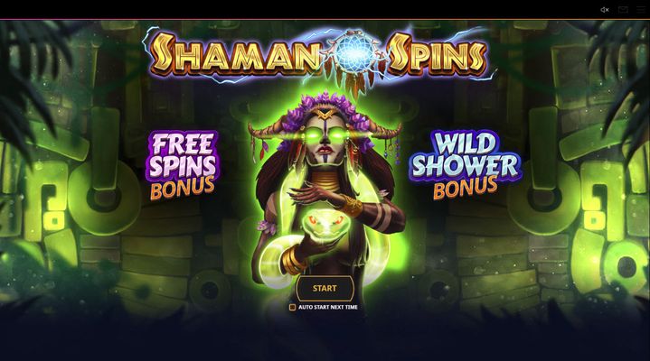 Shaman Spins :: Introduction