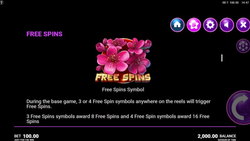 Free Spins Rules