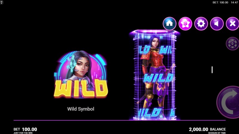 Wild Symbols Rules