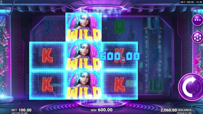 Stacked wild symbols trigger multiple winning paylines