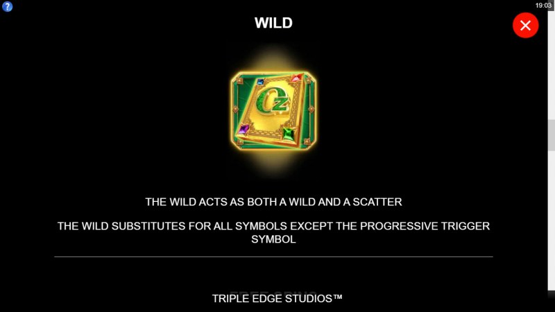 Wild Symbol Rules