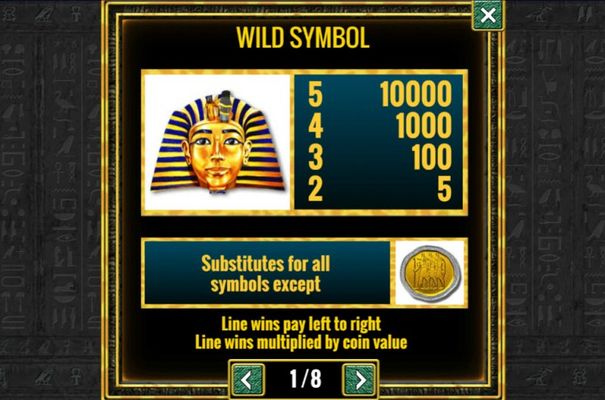 Wild Symbol Rules