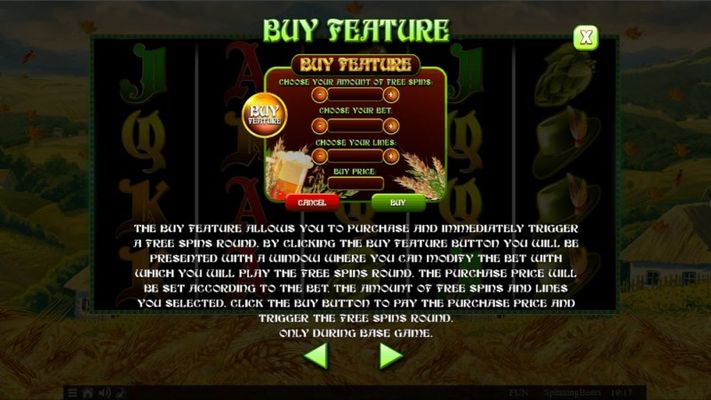 Spinning Beers :: Buy Feature