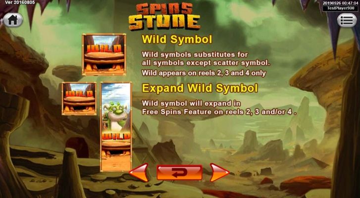 Wild Symbols Rules