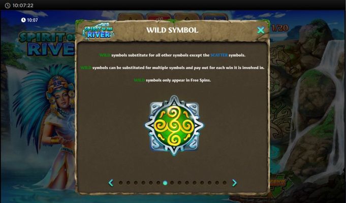 Wild Symbol Rules