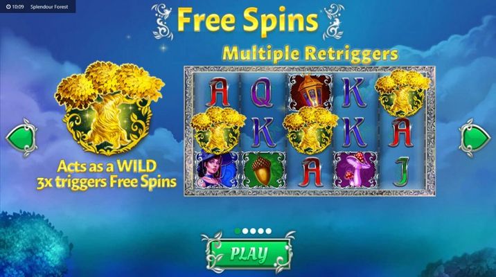 Free Spin Feature Rules