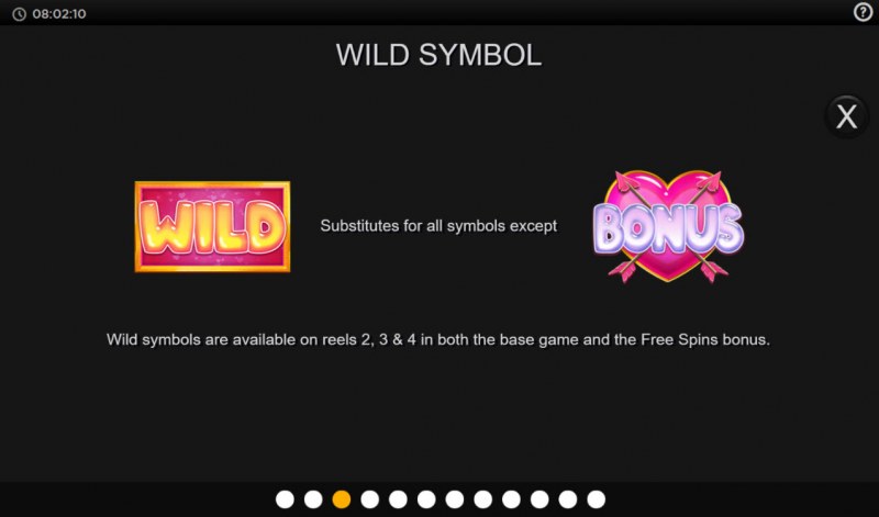 Wild Symbol Rules