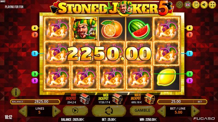 Stoned Joker 5 :: Multiple winning paylines leads to a big win