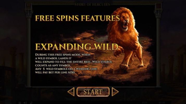 Expanding Wild Free Spins