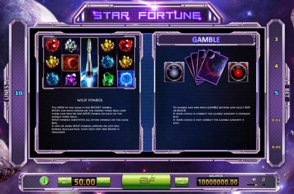 Wild Symbol and Gamble Feature Rules