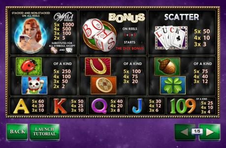 Slot game symbols paytable. The A beautiful woman holding cards is the highest value symbol on the game board. A five of a kind will pay 1,000 coins.
