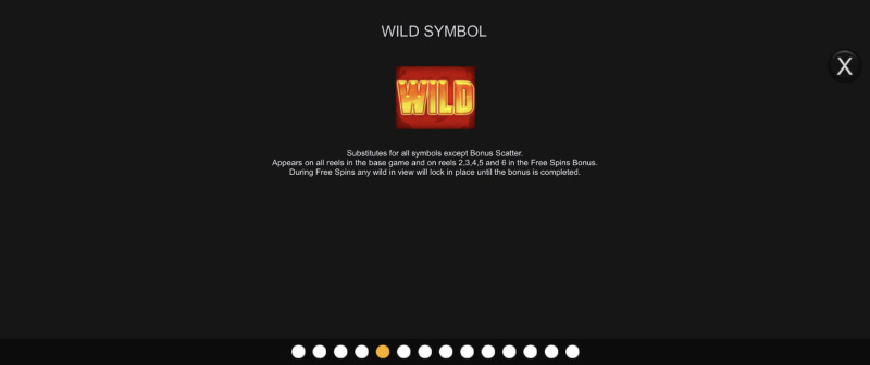 Wild Symbol