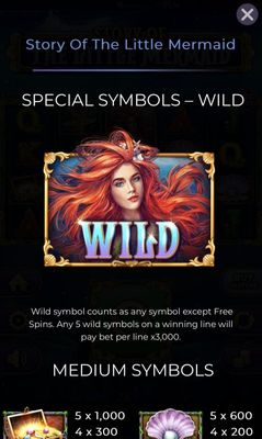 Wild Symbol Rules Continued