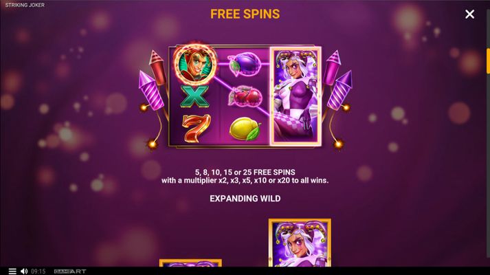 Free Spin Feature Rules
