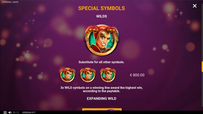 Wild Symbol Rules