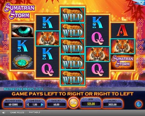 Game pays left to right and right to left.