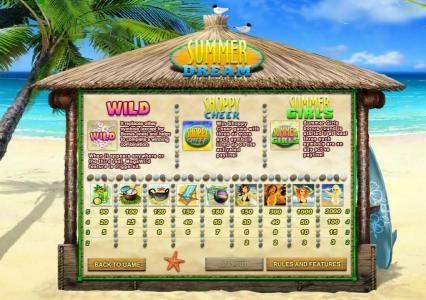 slot game symbols paytable with wild, and bonus rules
