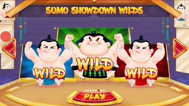 Sumo Showdown Wilds